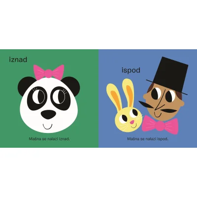 Mali kameleon, iznad i ispod