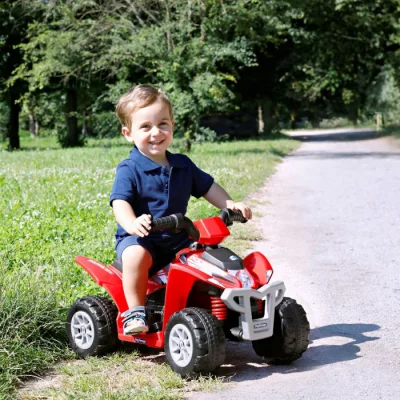 Peg Perego Polaris Mini Quad