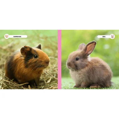 Moji prijatelji životinje, kućni ljubimci
