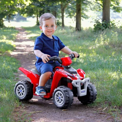Peg Perego Polaris Mini Quad