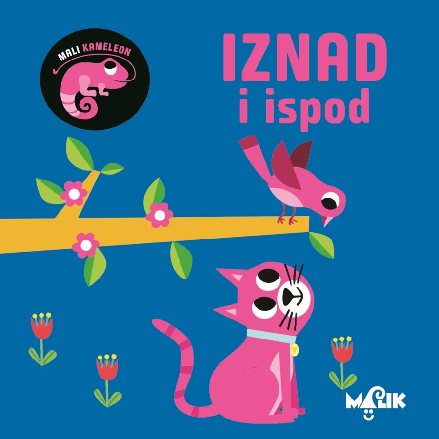Mali kameleon, iznad i ispod